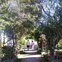 Jardin à Tavira